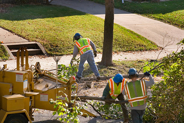 Best Tree Health Inspection  in La Ada Flintridge, CA